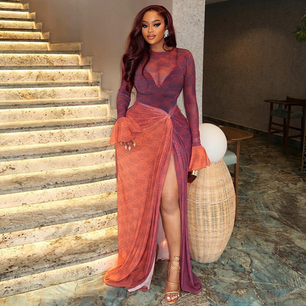 Women’s Sheer High-Low Dress